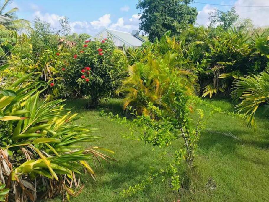 Villa Sous Le Manguier-Anse Bertrand 5Min Plage Exterior foto