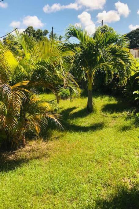 Villa Sous Le Manguier-Anse Bertrand 5Min Plage Exterior foto